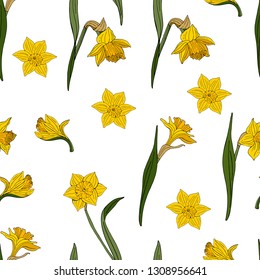 Seamless pattern with yellow daffodils. Endless pattern with yellow spring flowers on white background for your season design