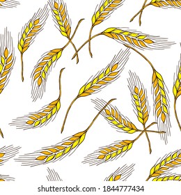 Seamless pattern of yellow  ears of wheat, gold spikelets, spica, isolated on white  background. Contour lines, sketch, hand drawing Flat design vector illustration
