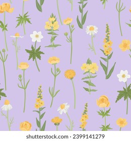seamless pattern with yellow field flowers, vector drawing wild flowering plants at lilac background, floral ornament, hand drawn botanical illustration