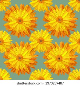 Seamless pattern with yellow flower vector illustration