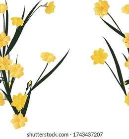 Seamless pattern with yellow flowers, buds and daffodil leaves on a white background.