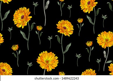 Seamless pattern with yellow flowers calendula and green leaves on black background. For textile, wallpapers, print, greeting. Vector.