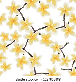 Seamless pattern with yellow flowers. Floral décor of plumeria branch. Elegant tropical floral print for fabric design, woman dress, background, wrapping paper, cover. White background.