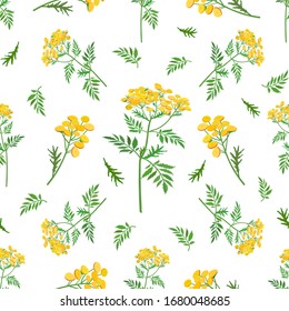Seamless pattern with yellow flowers of medicinal tansy