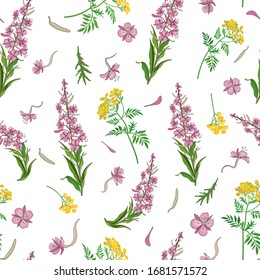 Seamless pattern with yellow flowers of medicinal tansy and narrow-leaved fireweed