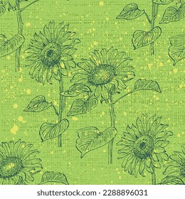 Seamless pattern with yellow flowers. Sunflower seamless patterns. Vector line yellow flowers texture background. Illustration floral spring