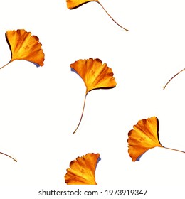 Seamless pattern with yellow ginkgo leaves on a white background.