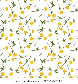 seamless pattern with yellow globeflowers, wild flowers, vector drawing wild plants at white background, flowering meadow , hand drawn botanical illustration