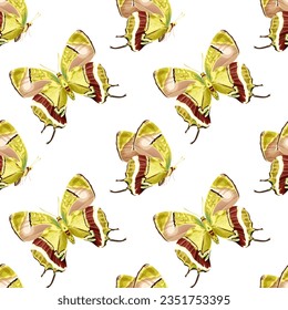 Seamless pattern with yellow and green butterfly. Tropical insects. Stock vector illustration on a white background.