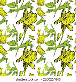 seamless pattern with yellow irises on white background