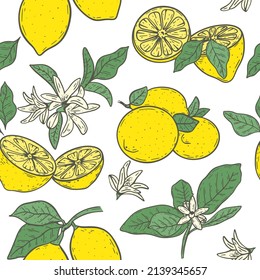 Seamless pattern with yellow lemon flowers and leaves vector illustration. Fruity background with citruses. Model with healthy organic food. Template for design, wallpaper, packaging
