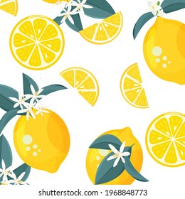 seamless pattern with yellow lemons. white background. Vector texture. printing for textiles or wallpaper.
