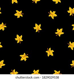 Seamless pattern with yellow maple leaves. Brown stem. Black background. Autumn or summer. Nature or ecology. Doodle cartoon style. For postcards, wrapping paper textile, wallpaper and scrapbooking