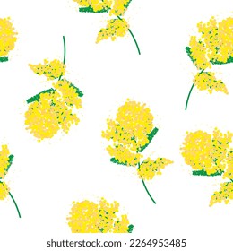 Patrón sin foco de flores mimosa amarillas sobre un fondo blanco
