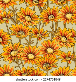 Seamless pattern with yellow and red gazania flower. Botanical gaillardia flower illustration