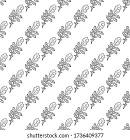 Seamless pattern with yellow rocketcress leaf. Hand drawn vector illustration