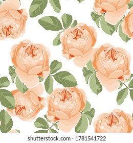 Seamless pattern with yellow roses. Perfect for background greeting cards and invitations for wedding, birthday, Valentine's Day, Mother's Day. White background.	