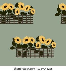 Seamless pattern with yellow sunflower flowers and green leaves and lines on a grey background.