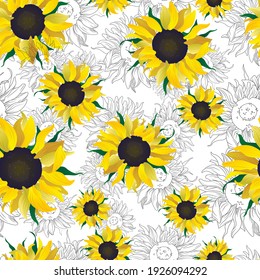 Seamless pattern with yellow sunflower and line flowers on white background. Vector illustration