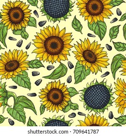 Seamless pattern with yellow sunflowers. Vector illustration sunflower background blossom bright