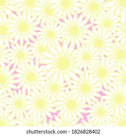 Seamless pattern yellow white flower on pink background. For wrapping gift, wallpaper, background, greeting and card. Vector illustration.