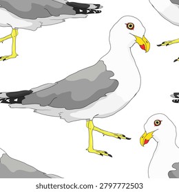 seamless pattern Yellow-legged gull Larus michahellis vector illustration