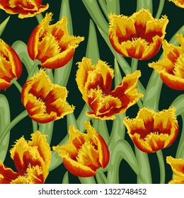 Seamless pattern of yellow-red tulips on dark green background. Vector.