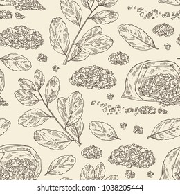 Seamless pattern with yerba mate: mate branch and leaves. Vector hand drawn illustration.
