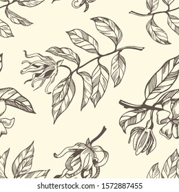 Seamless pattern of ylang ylang branches and flower on plain background. Hand drawn vector illustration with contour lines. Monochrome floral print fot textile and wallpaper.