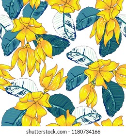 Seamless pattern Ylang-ylang flowers on white isolated background.Vector illustration hand drawing.For used wallpaper design,textile fabric or wrapping paper.