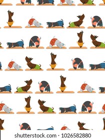 seamless pattern with yoa poses/ scottish terrier in pants doing yoga/ Yoga with scottie