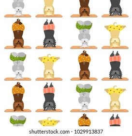 seamless pattern with yoga poses/ cottish terrier dog doing head stand yoga poses