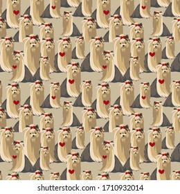 Seamless pattern Yorkshire Terrier vector