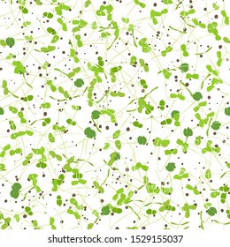 Seamless pattern young leaves seedlings on a white background. Raw sprouts, microgreens, healthy eating concept. Vector illustration