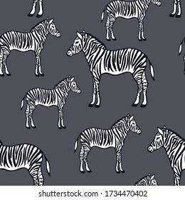 Seamless Pattern with Zebra isolated on dark gray background. Ornament items with Wildlife and Animal symbol. For printing wrapping paper, wallpaper, packaging, fabric. Hand Drawn vector illustration.