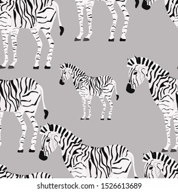 Seamless pattern of zebra on a gray background