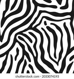 Seamless pattern with zebra stripes. Animal print.
