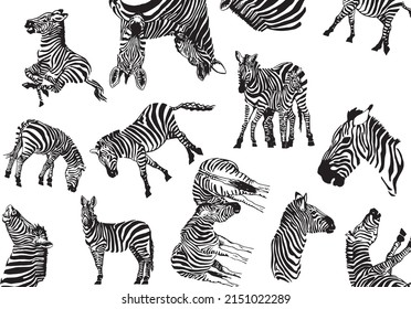 Nahtloses Muster Zebra , stylische Abdeckung für Stoff, Postkarten, Tapeten, grafische Vektorgrafik