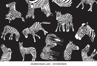 Nahtlose Muster Zebra , stylische Abdeckung für Stoff, Postkarten, Wallpaper, grafische Vektorgrafik mit schwarzem Hintergrund