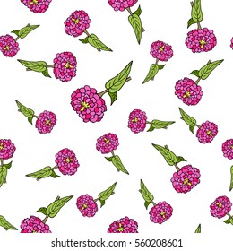 Seamless pattern with zinnia. Vector illustration
