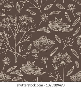 Seamless pattern with zira, cumin: plant and cumin seeds. Vector hand drawn illustration.