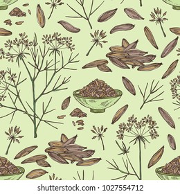 Seamless pattern with zira, cumin: plant and cumin seeds. Vector hand drawn illustration.