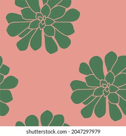 Seamless pattern.Cartoon, hand-drawn. Green echeveria on a pink background. Houseplants, cactus, succulent, stone rose. Vector illustration.