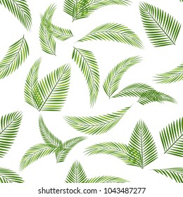 Seamless pattern.Green leaves branches of palm, trees coconut.Tropical vector background.Elegant template for fashion prints.White background,isolated.Motifs scattered random.Printing with greenery