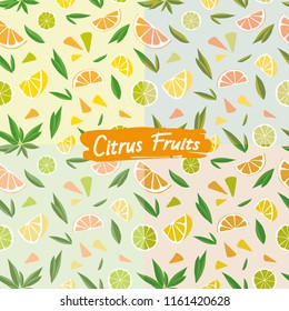 Seamless Patterns of Citrus Fruits on 4 different color groups