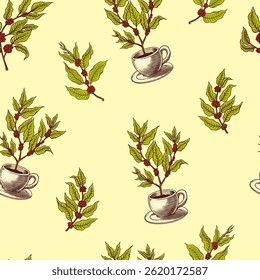 Seamless patterns with Coffee plants or branches in vintage style. Tree from a cup. Hand drawn engraved retro sketch for labels.