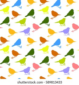 seamless patterns with color birds