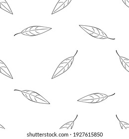 Seamless patterns. Doodle tree leaves isolated on white background. Vector illustration.