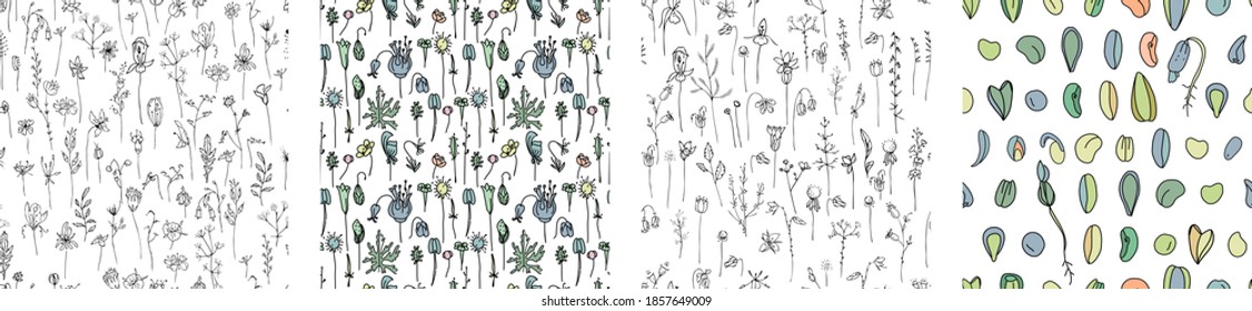 Seamless patterns with floral plants, flowers and seeds. Endless textures for your design, announcements, postcards, posters.