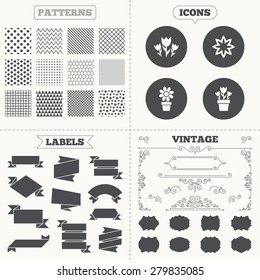 Seamless patterns. Sale tags labels. Flowers icons. Bouquet of roses symbol. Flower with petals and leaves in a pot. Vintage decoration. Vector